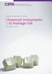 Practical Considerations in Using Financial Instruments to Manage Risk in the Public Sector cover